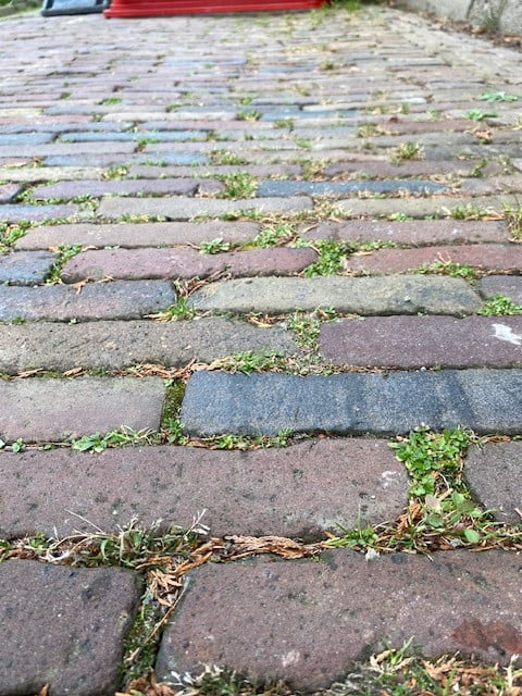 Oude gebakken waaltjes 5 duimers in alle kleuren beschikbaar