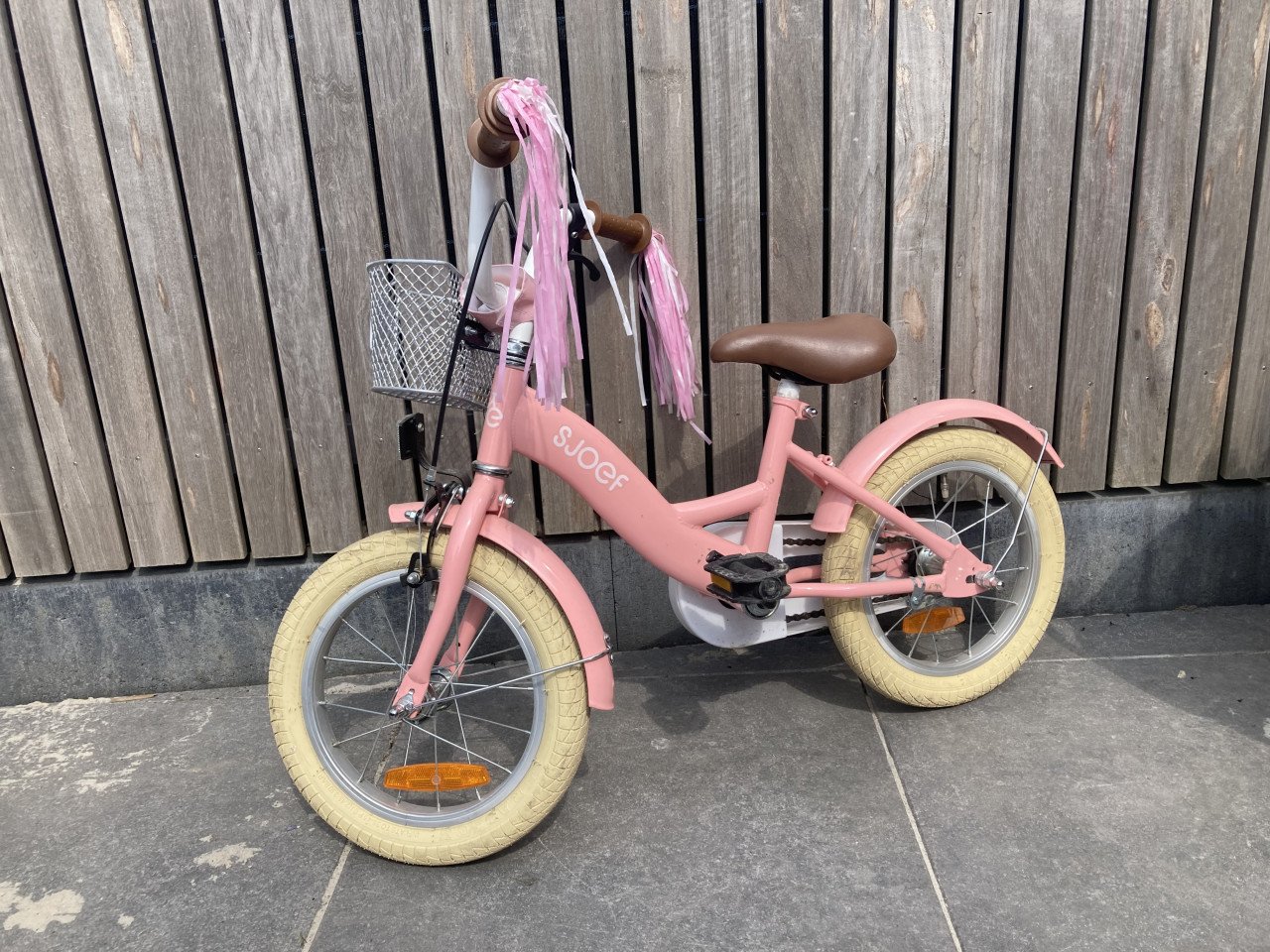 Meisjes fiets