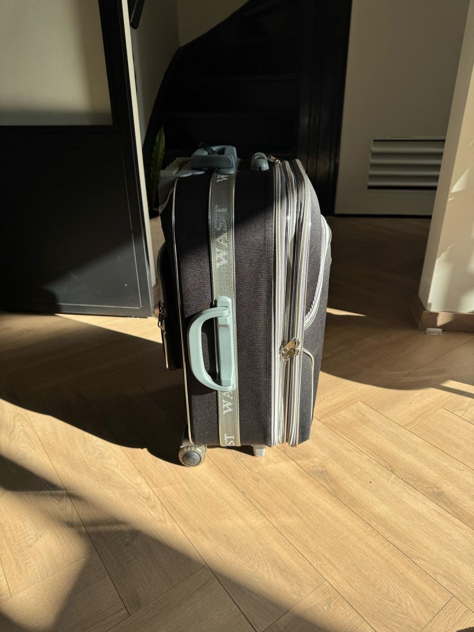 Handbagage of reiskoffer