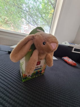 Konijn knuffel (met chocolaatjes)
