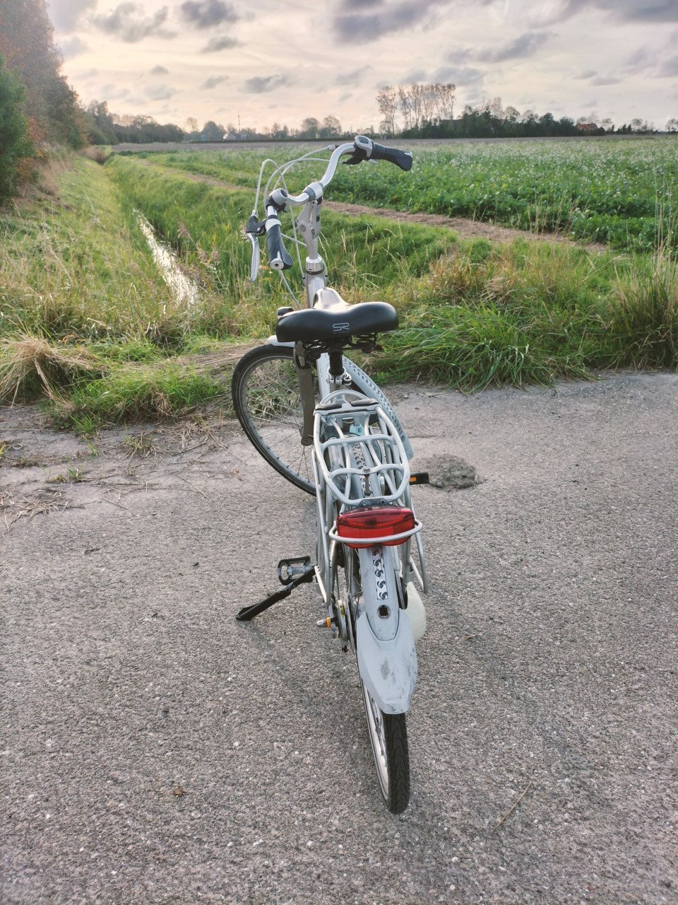 Batavus & Sparta damesfietsen