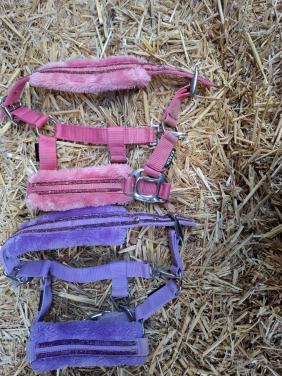 2x Halster Horka