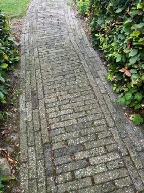 Steentjes