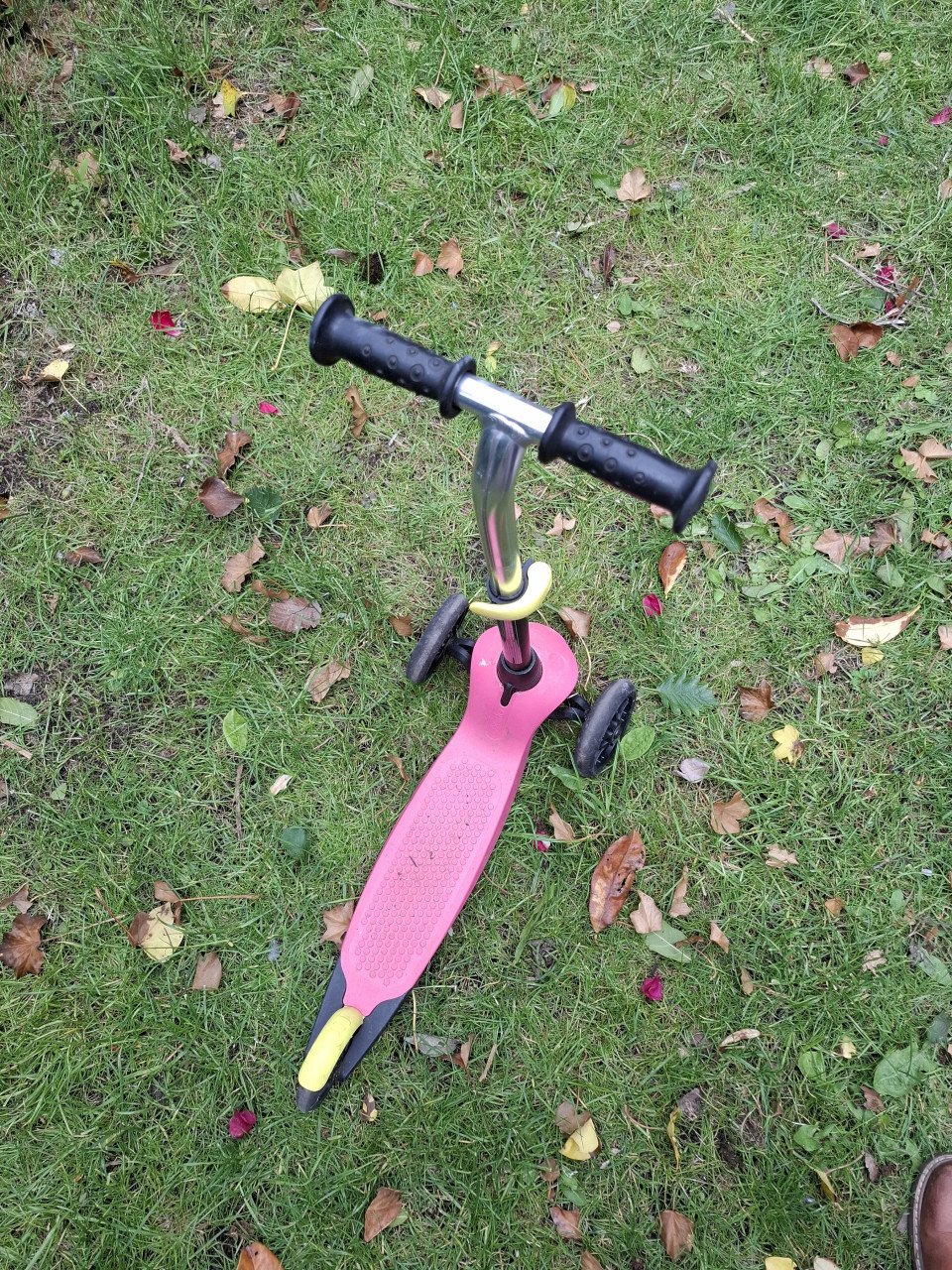 Roze step