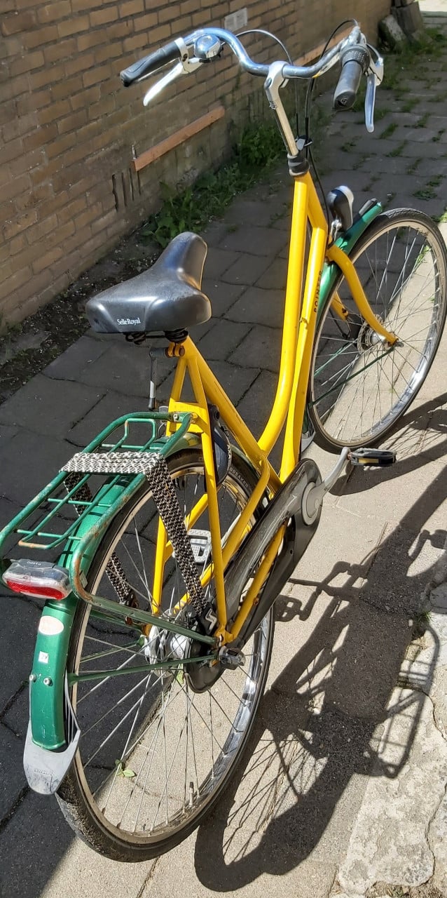 Pointer dames fiets