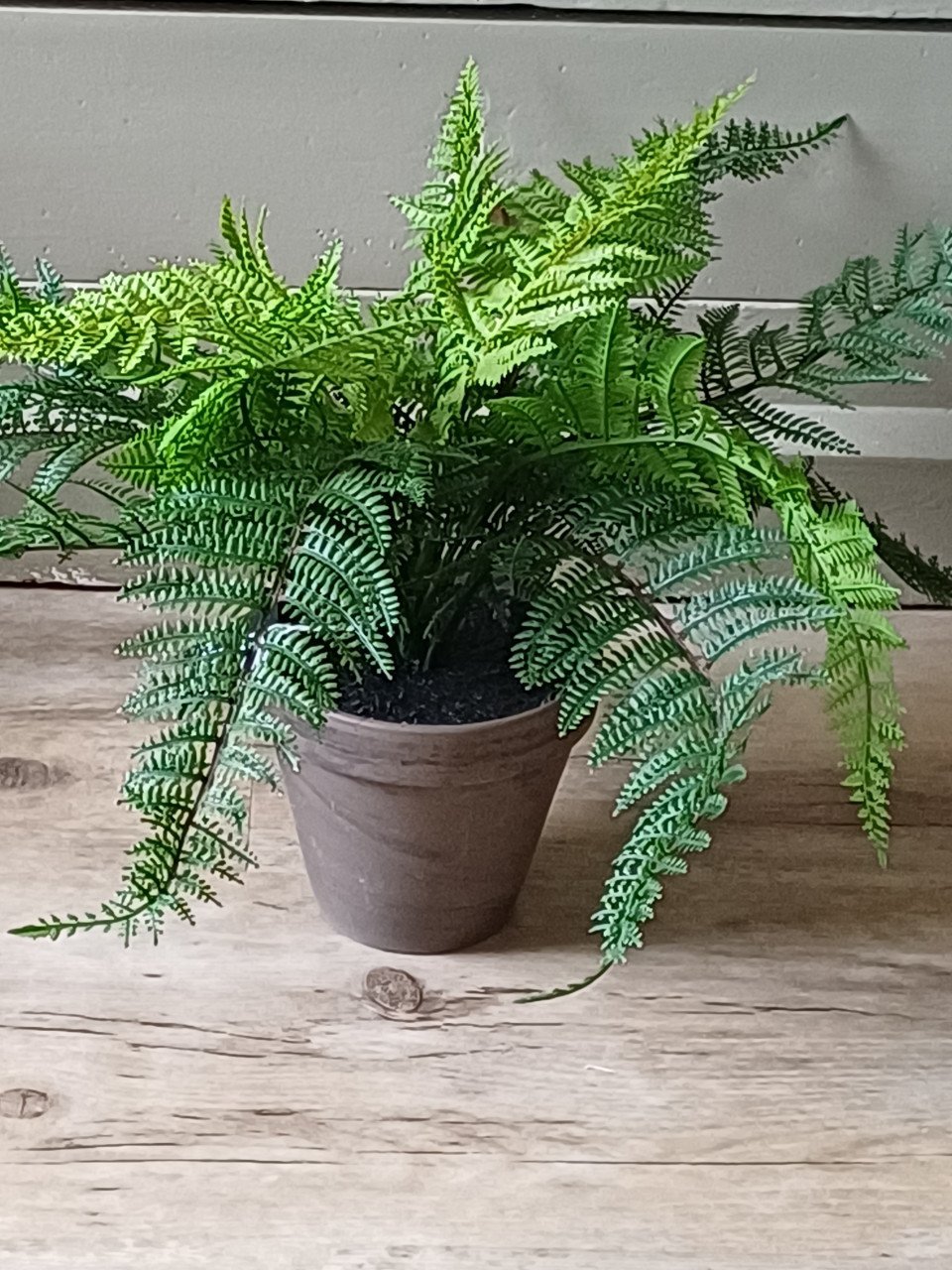 Kunst planten