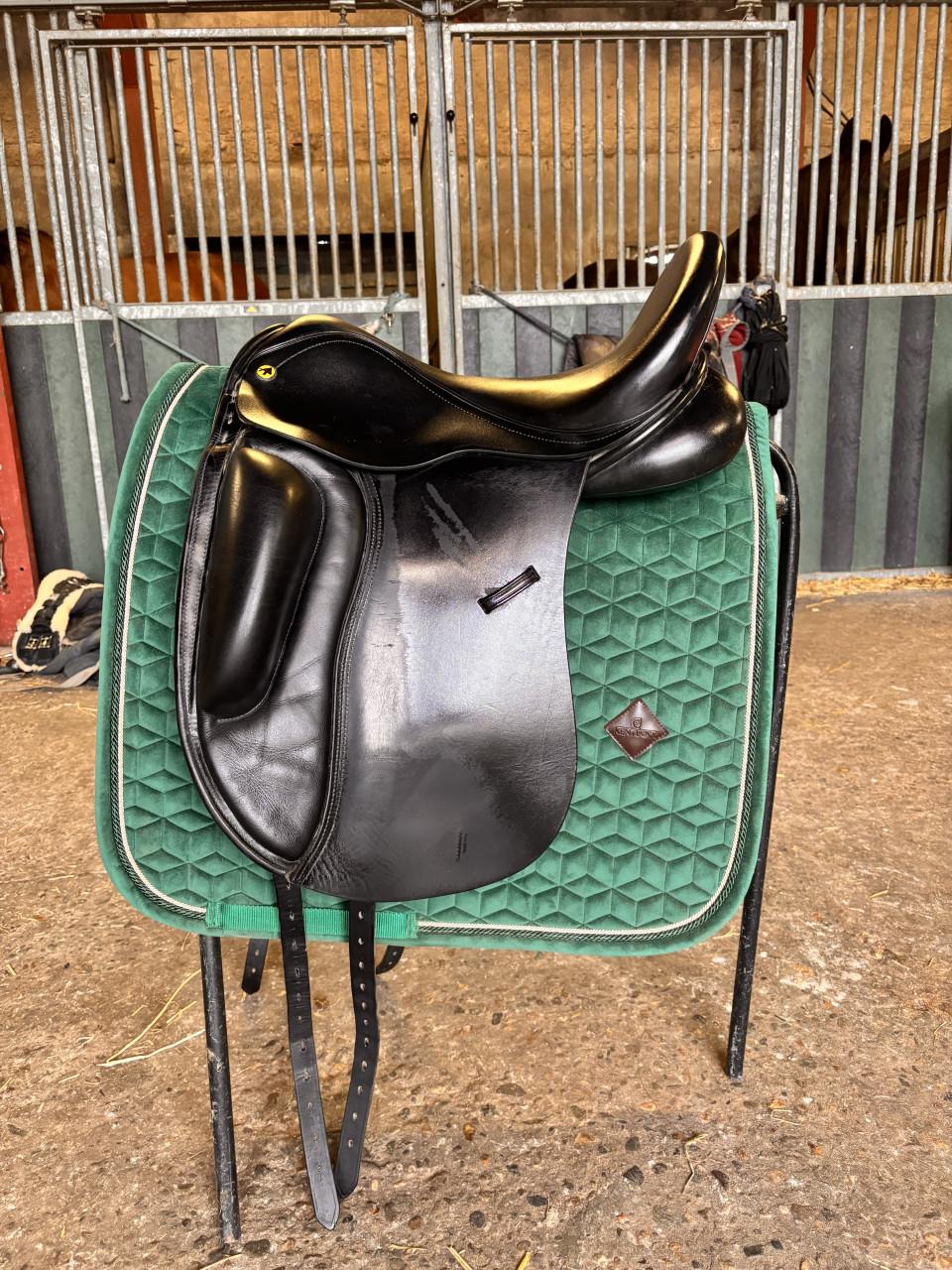 Anatomica Cygnus dressuurzadal