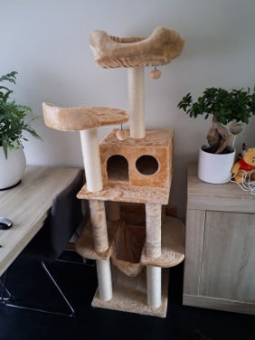 Kitten pakket