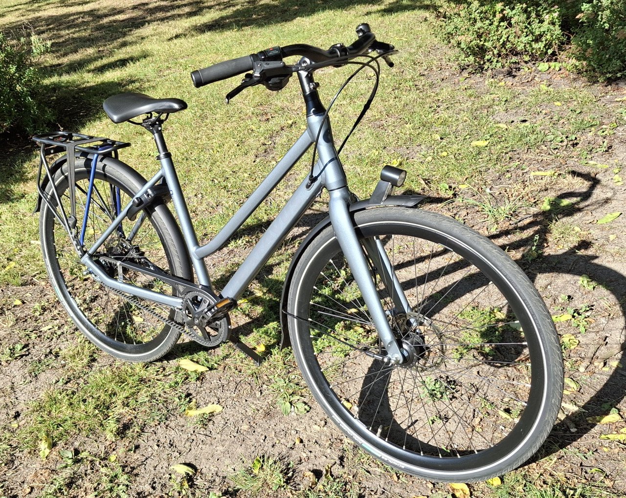 Batavus Dinsdag Exclusive Plus Multigrijs Dames fiets 11 versnellingen