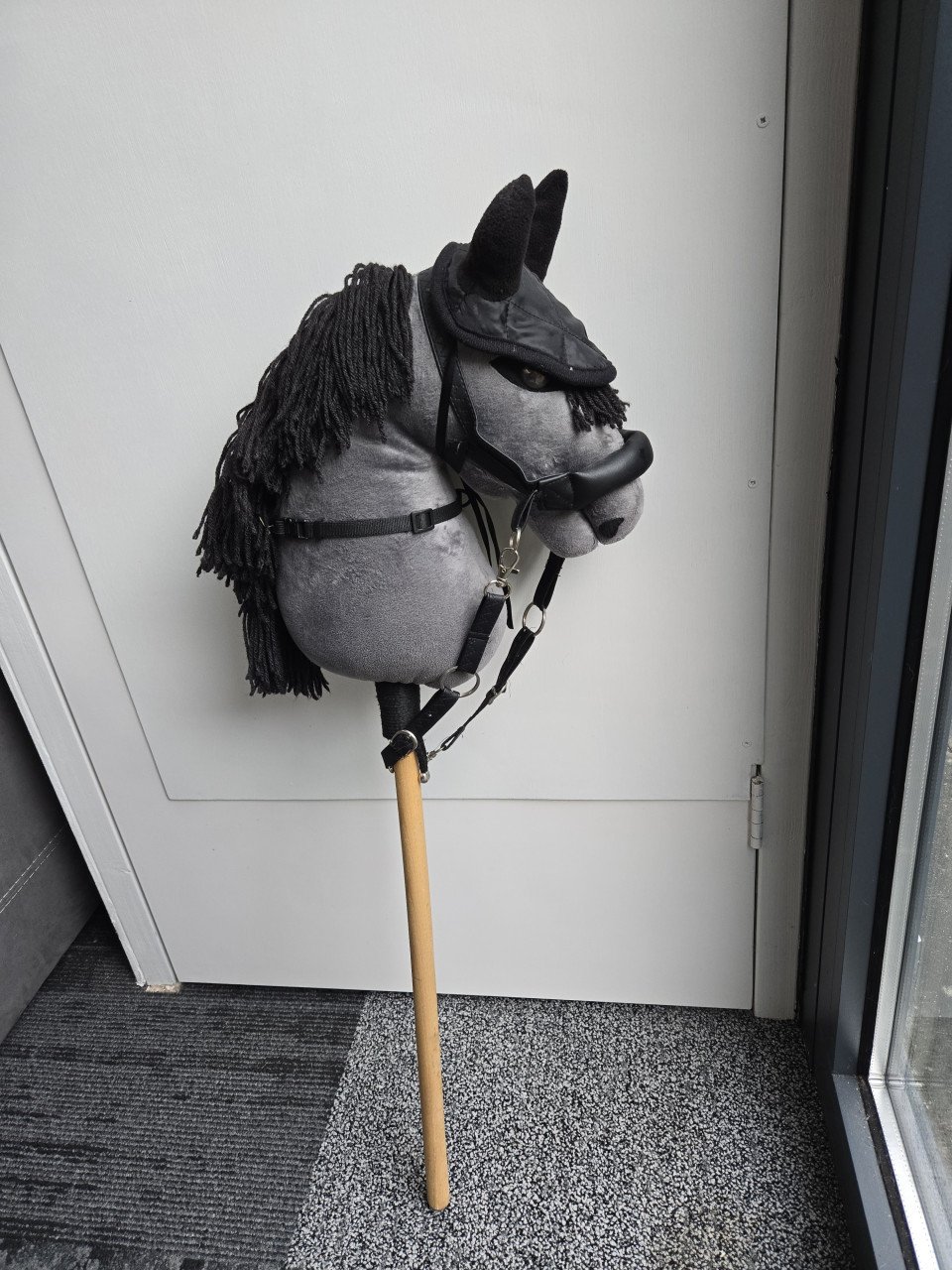 Mooie Hobbyhorse