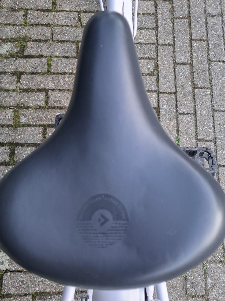 Mooie 22 inch Alpina Clubb Meisjesfiets