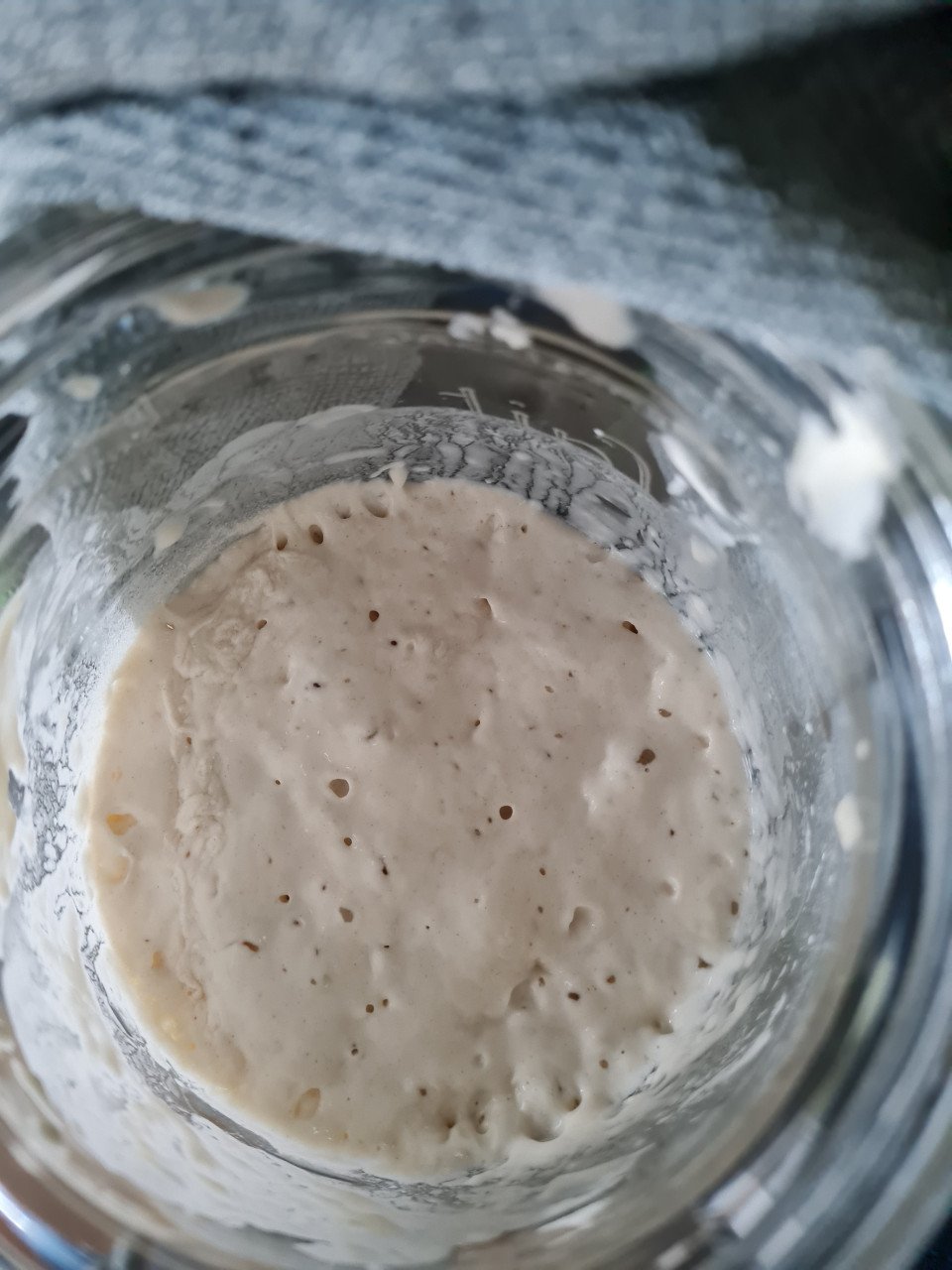 Starter voor zuurdesembrood
