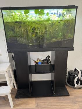 Aquarium 80x35x45 cm (126L)