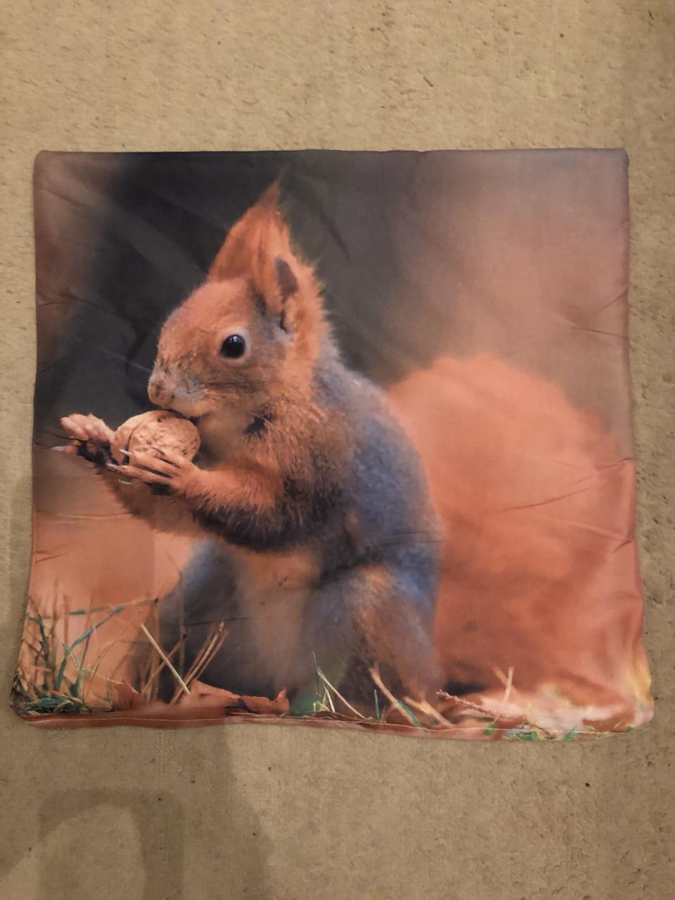 5 kussenhoesjes HERFST