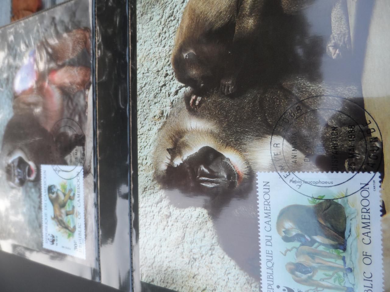 WWF maximumkaarten , FDC en postzegels en Hologramvel
