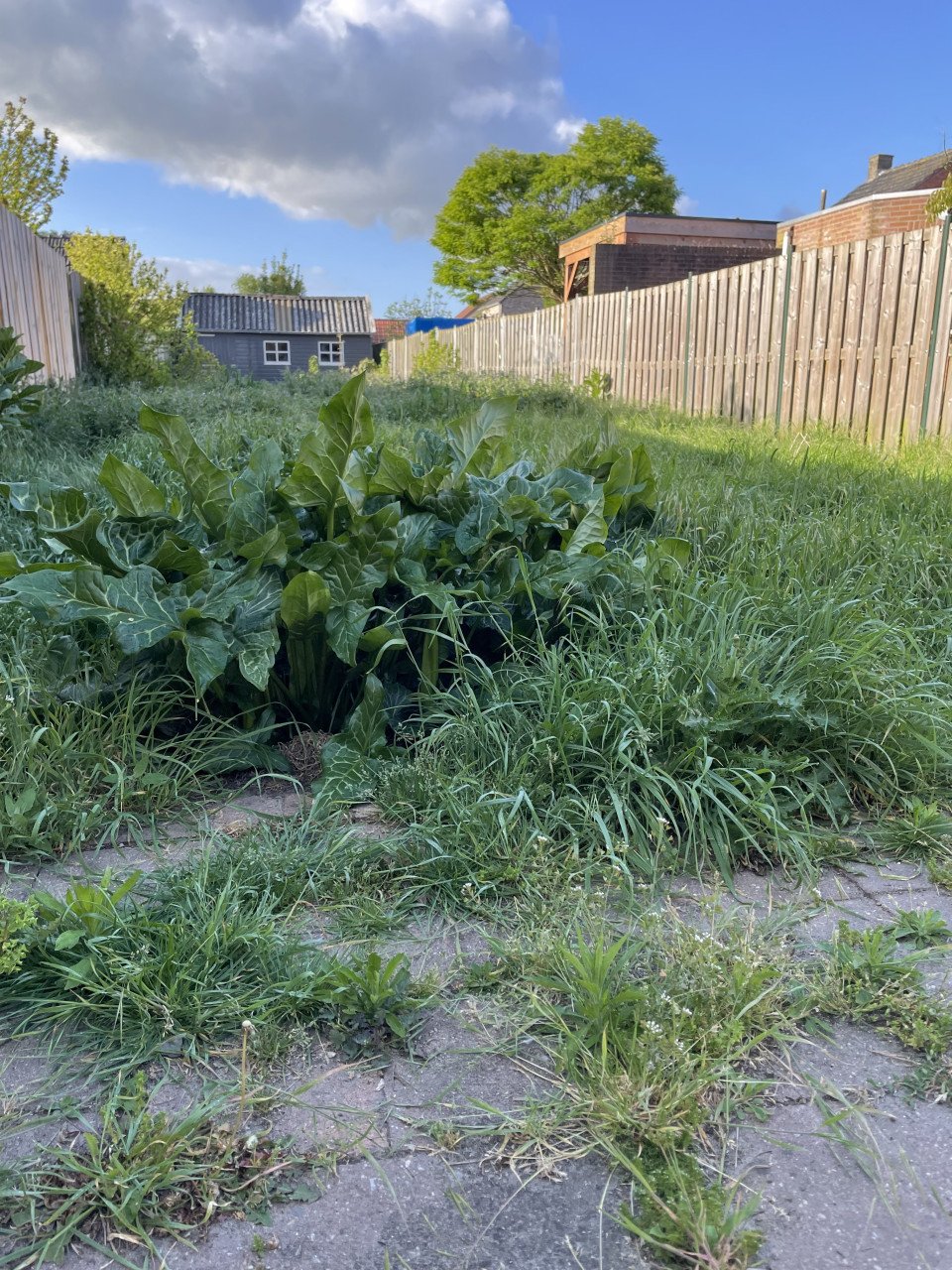 Tuinonderhoud
