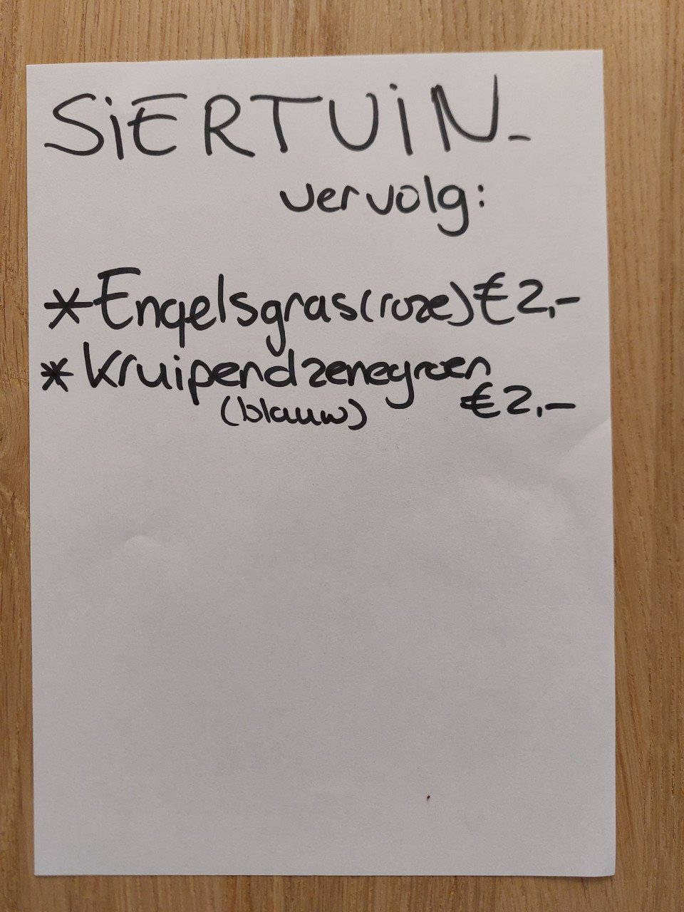 STOKROZEN en meer SIERTUIN PLANTEN + BOOM bij DE VOORDEUR