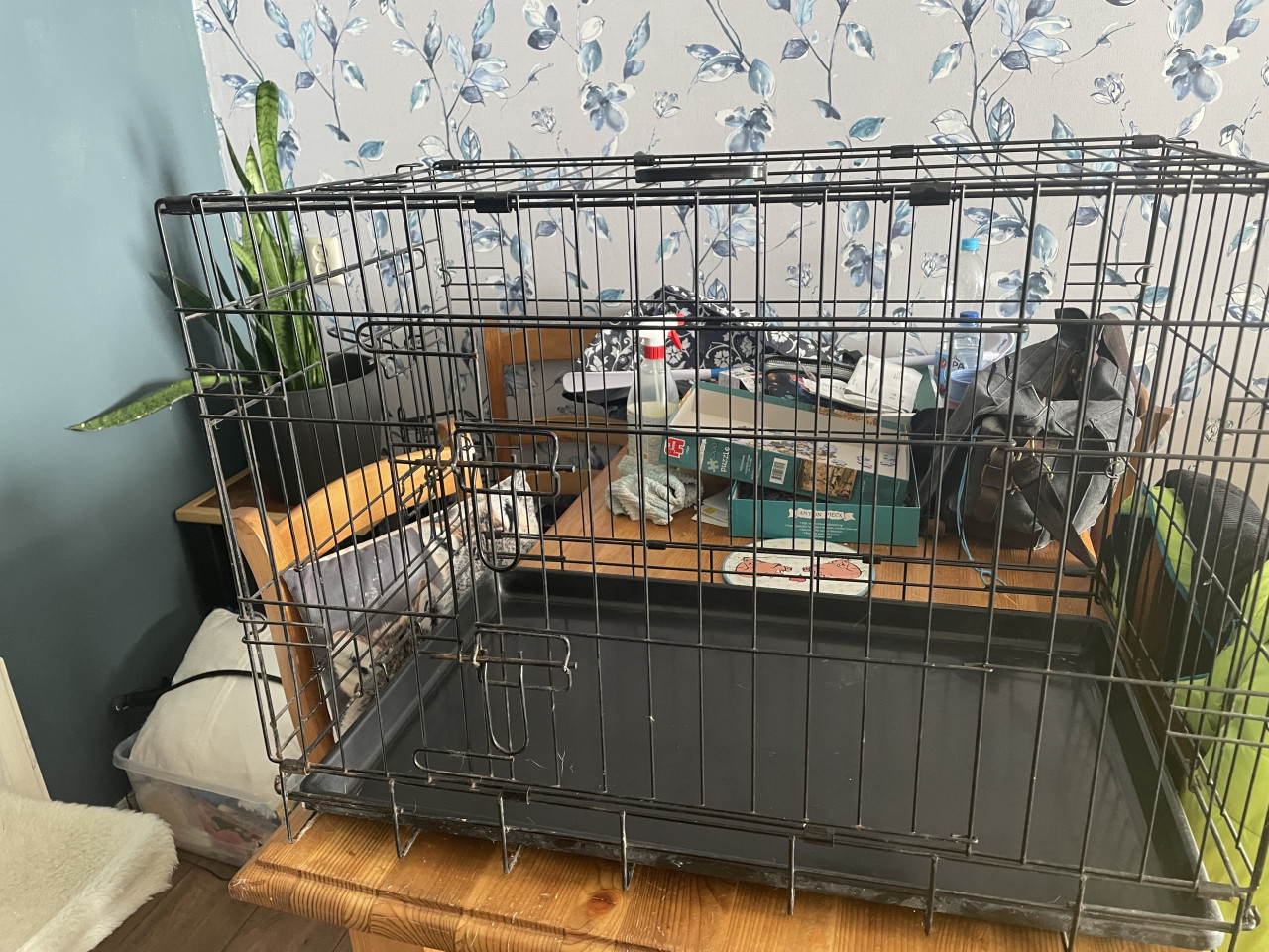 Te koop honden bench