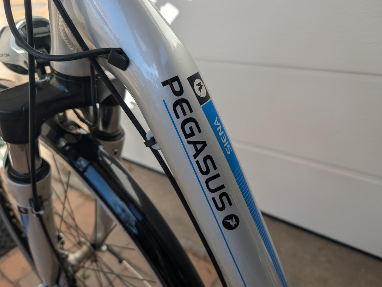 Pegasus Sienna elektrische herenfiets