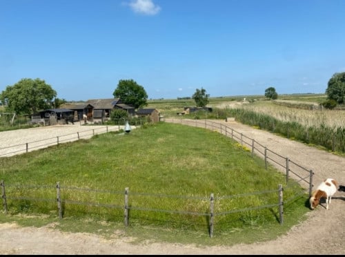 Plekje vrij voor pony (stal, wei, paddock, track)