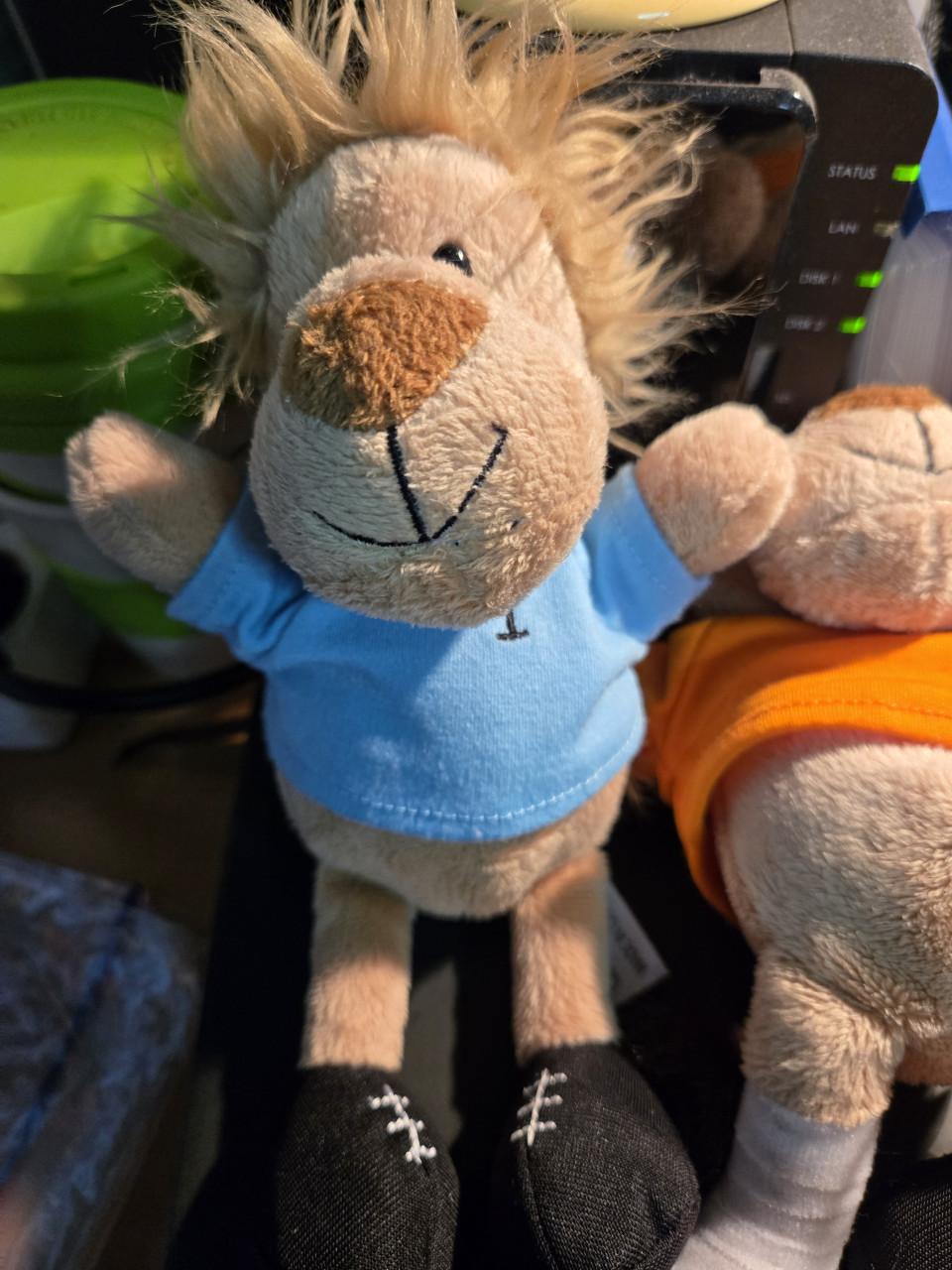 7 stuks oranje leeuwen voetbalknuffels 20cm Nrs: 1 3 6 9 10 14 en coach