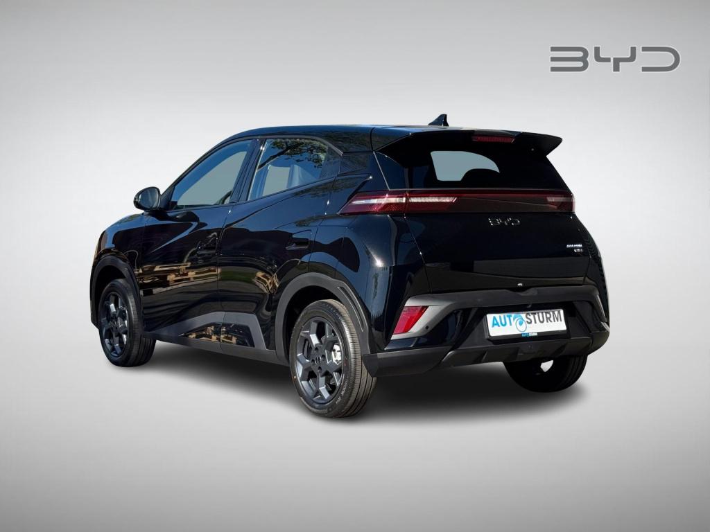 Byd Dolphin Surf boost 43 kwh