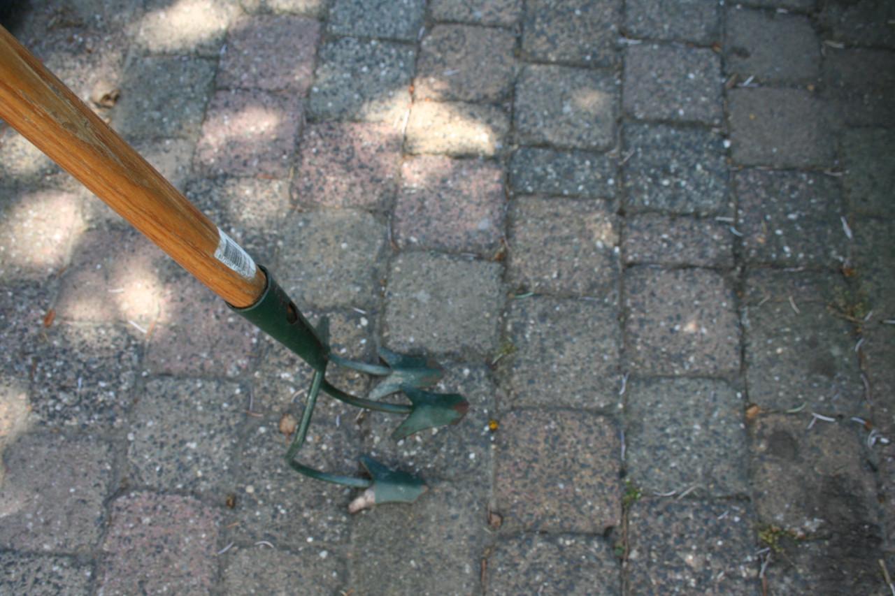 Cultivator