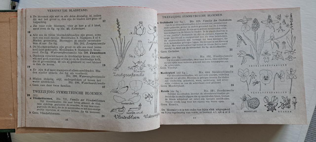 Boek Geillustreerde Flora van Nederland