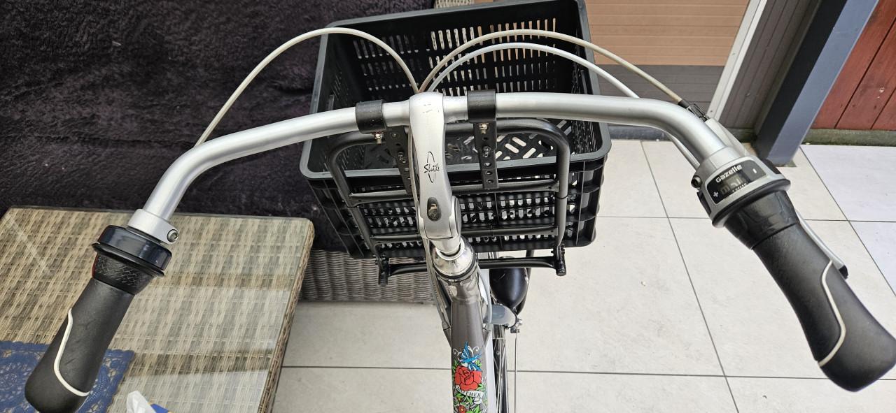 Gazelle  Bloom Damesfiets