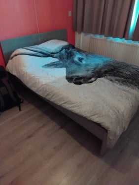 2  Bedden : 1x  2 persoons en 1 x 1 persoons Bed
