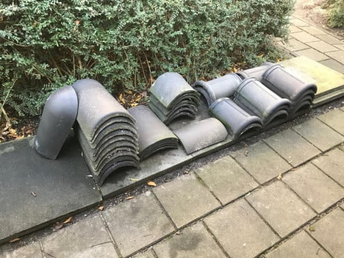 Nokvorsten (diverse types)