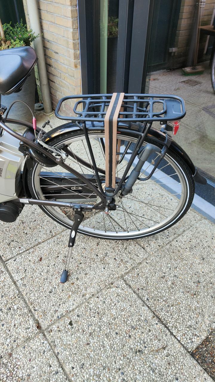 Electrische damesfiets, Gazelle
