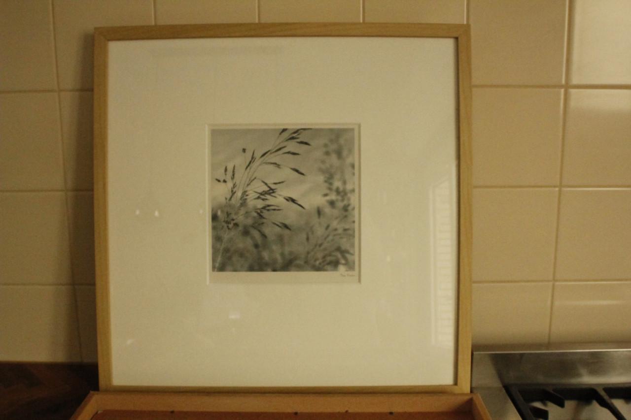 Houten lijst met prent..Adam Brock of Tony Koukos