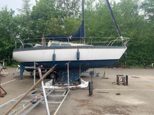 Ter Overname Piewiet 700