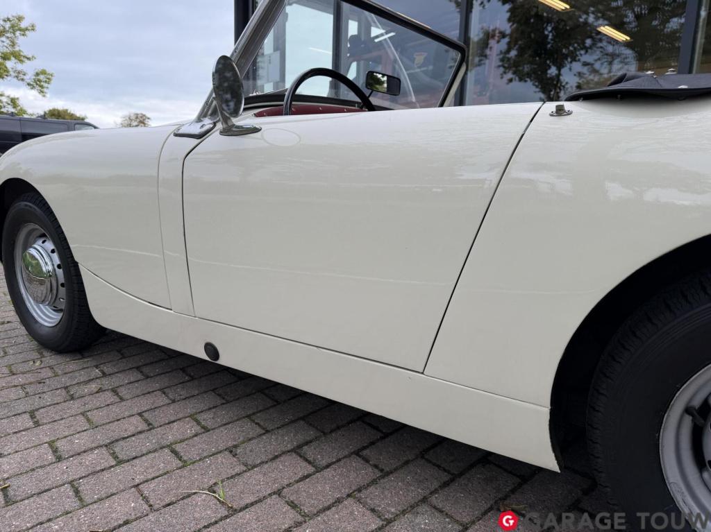 Austin Healey Onbekend sprite mk1 frogeye