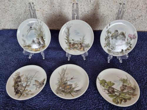 11 porseleinen onderzetters