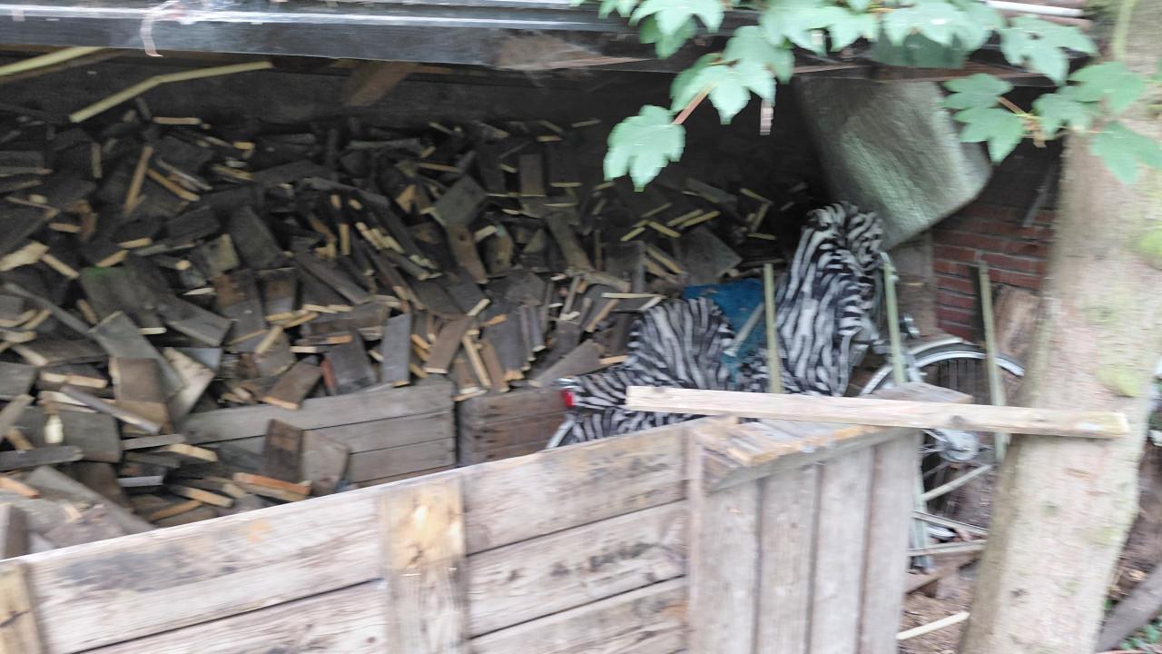 Haardhout