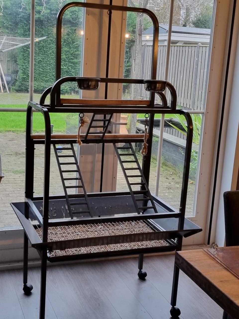 Papegaaien speelstandaard