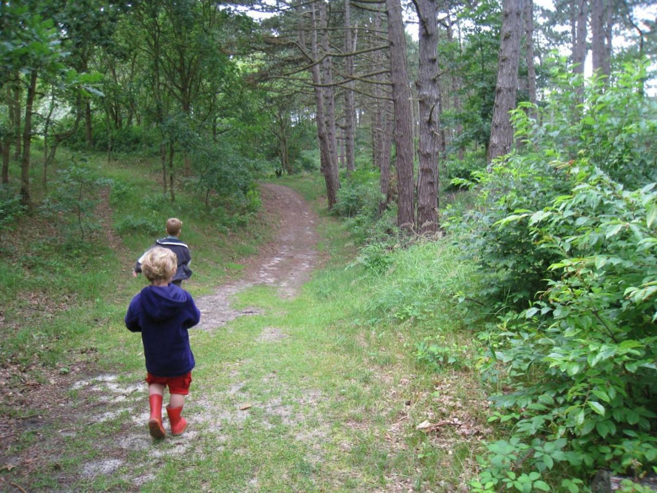 4p. vakantiebungalow, 10 min wandelen: zee, strand, duin en bos