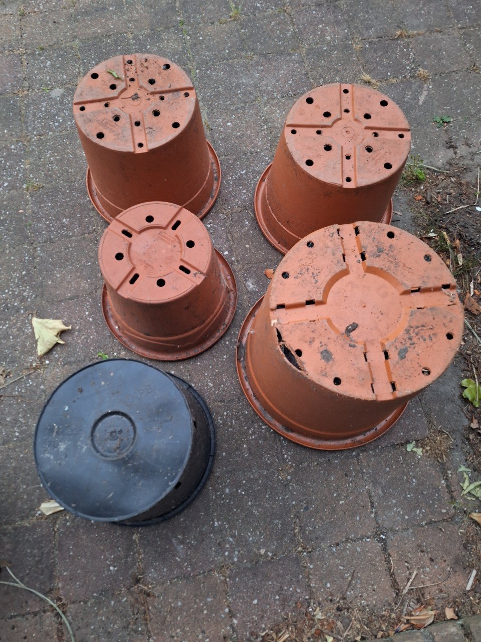 Grote Bloempotten