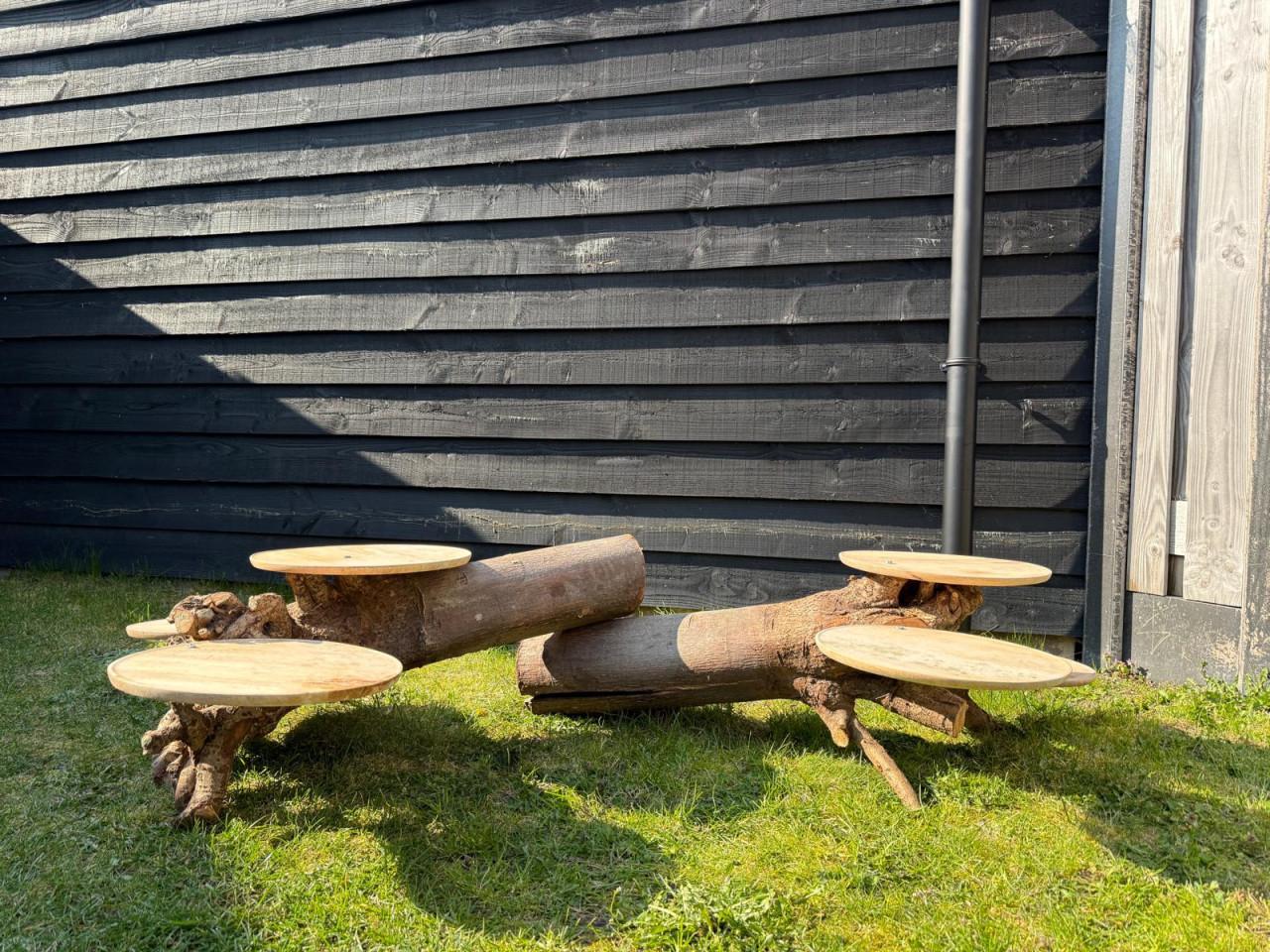 Unieke boomstam etagère - perfect voor bruiloft of feesten