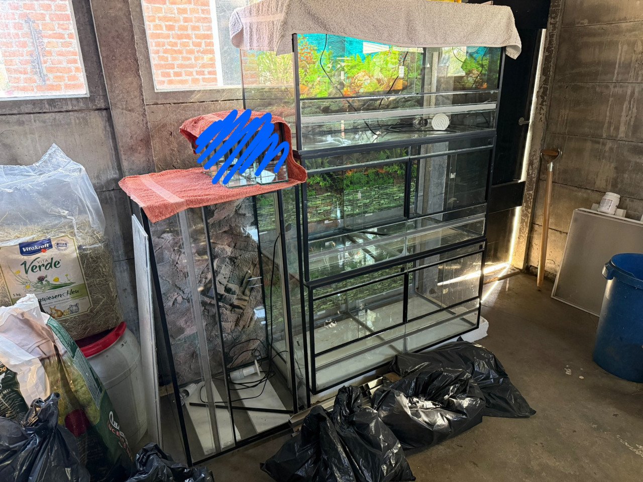 Stelling met 4+2 terrariums en toebehoren (zie omschrijving).
