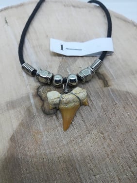 Hanger Met Echte Haaientand 1