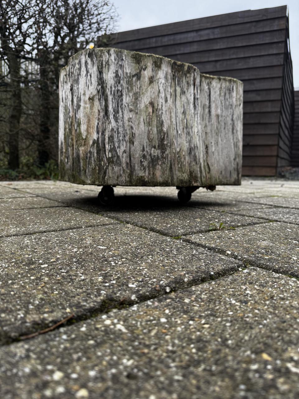 Boomstam bijzet tafel