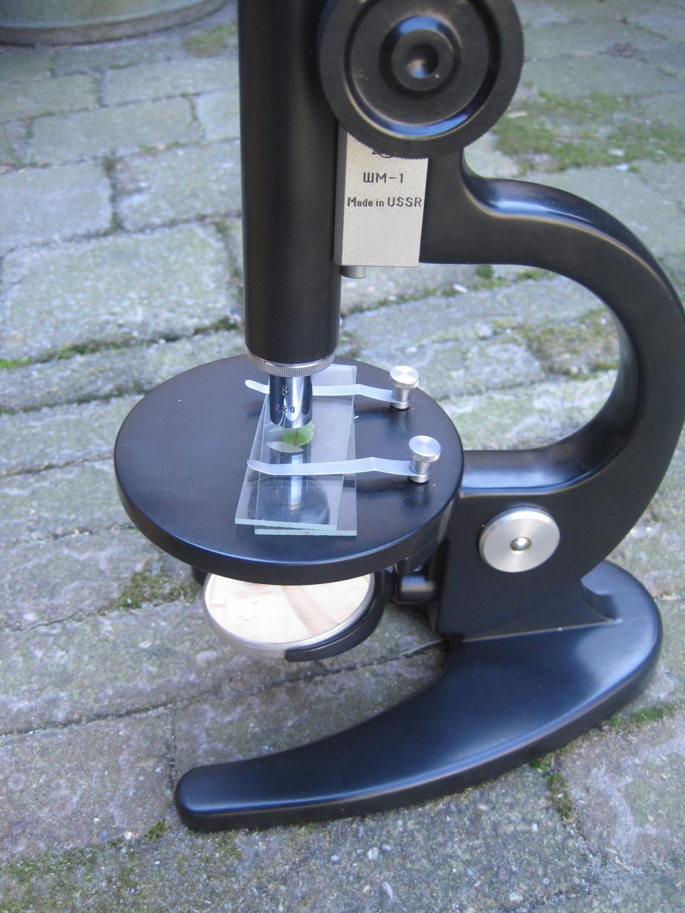 Microscoop in houten kist