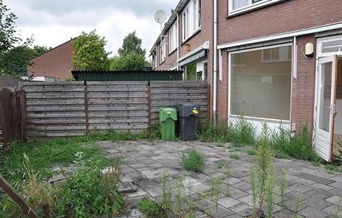 Tuin zomer-klaar service