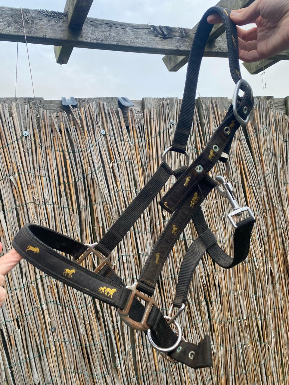 Gratis halsters full en cob