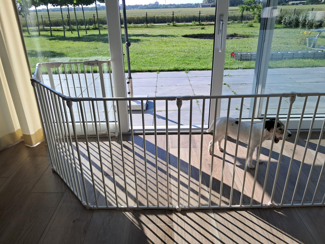 Opvouwbare (reis)box voor baby of pup