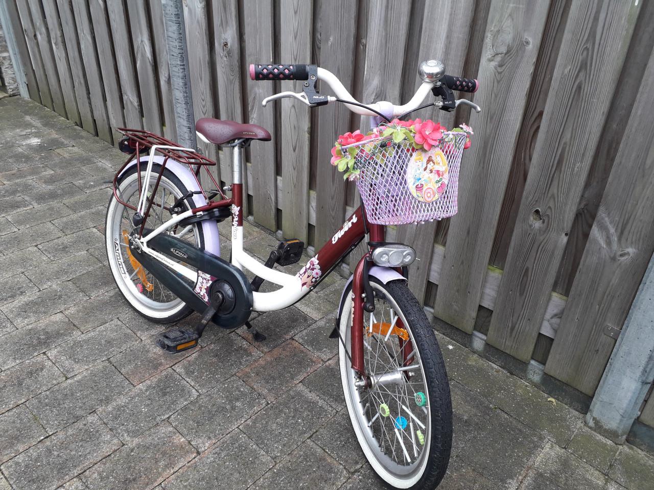 Alpina meisjesfiets 20 inch