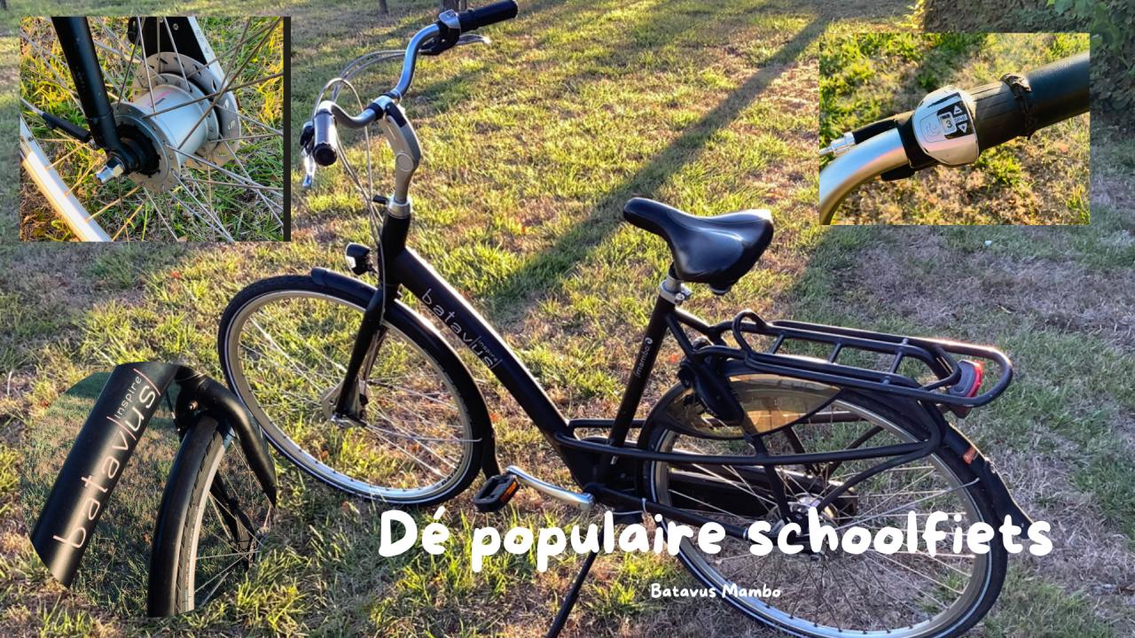 Damesfietsen: Batavus Compass en nog...
